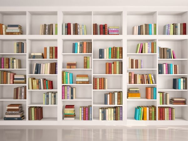 Bookshelf Assembly in Pasadena